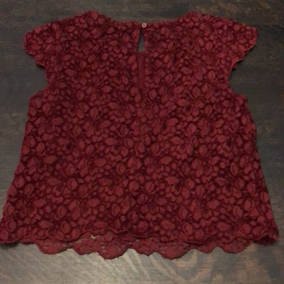 Lace cap sleeve crop top - Picture 3 of 4